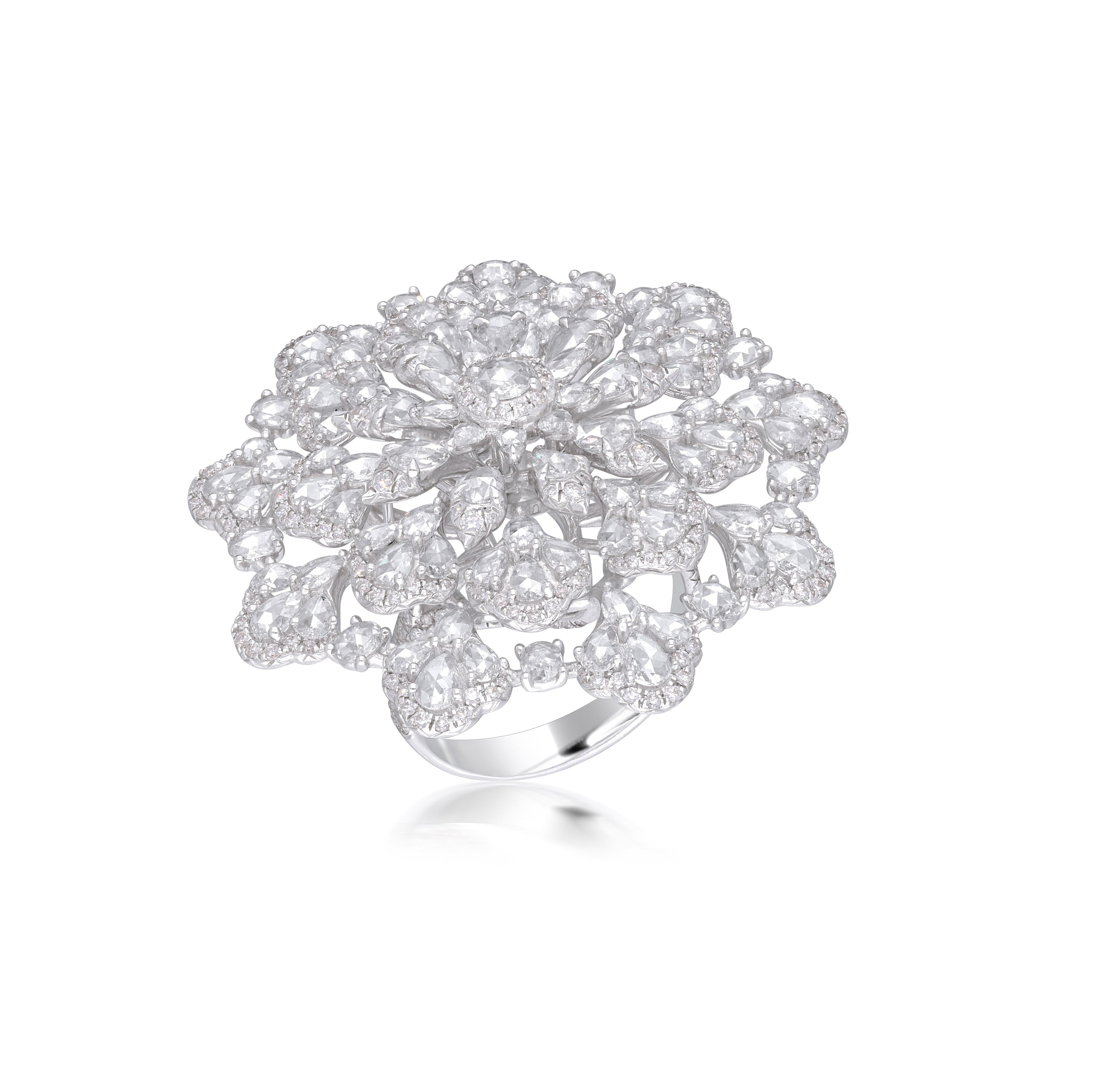 The Carnesia Ring - Diamond Ring